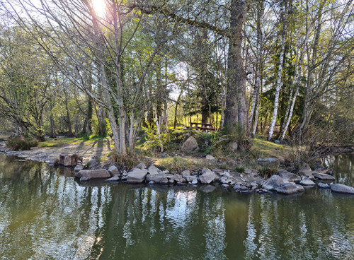 Peyrusse Lake Etang Des Sandres Passion Carpe