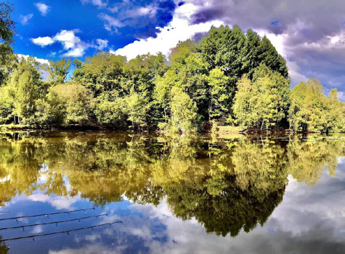 Etang Des Gorceix Passion Carpe