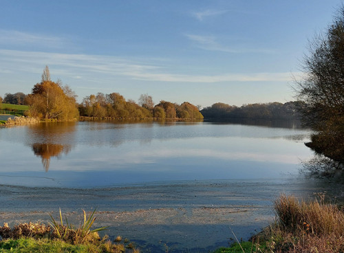 Etang De La Basse Roussi Re Passion Carpe