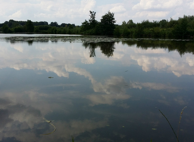 Domaine du Grand Marais - Étang 3