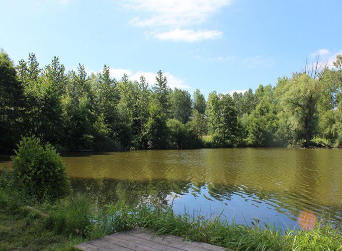 Domaine du Grand Marais - Étang 1