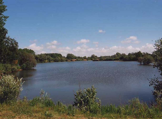 Le Narvik - Étang des Rainettes