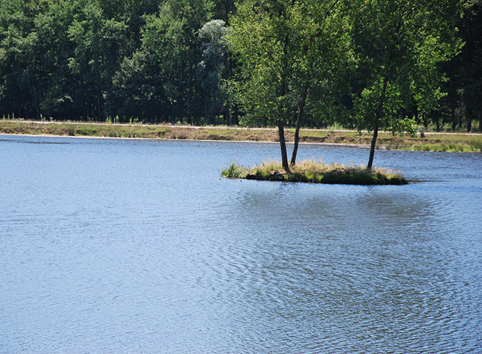 Domaine du Grand Orient