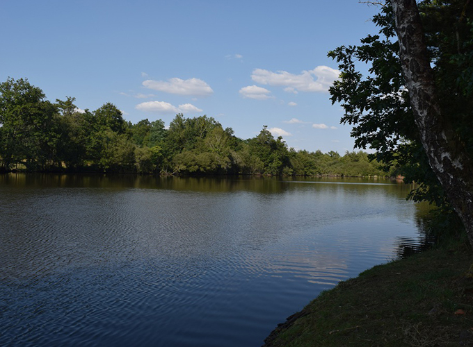 Étang du Moulin de Planchas