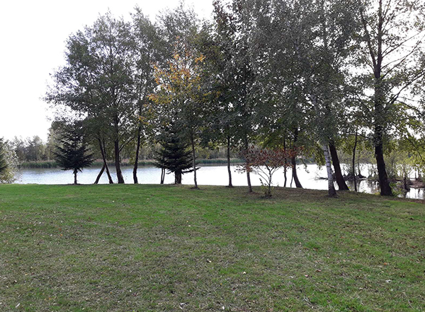 Étang de la Voie des Îles