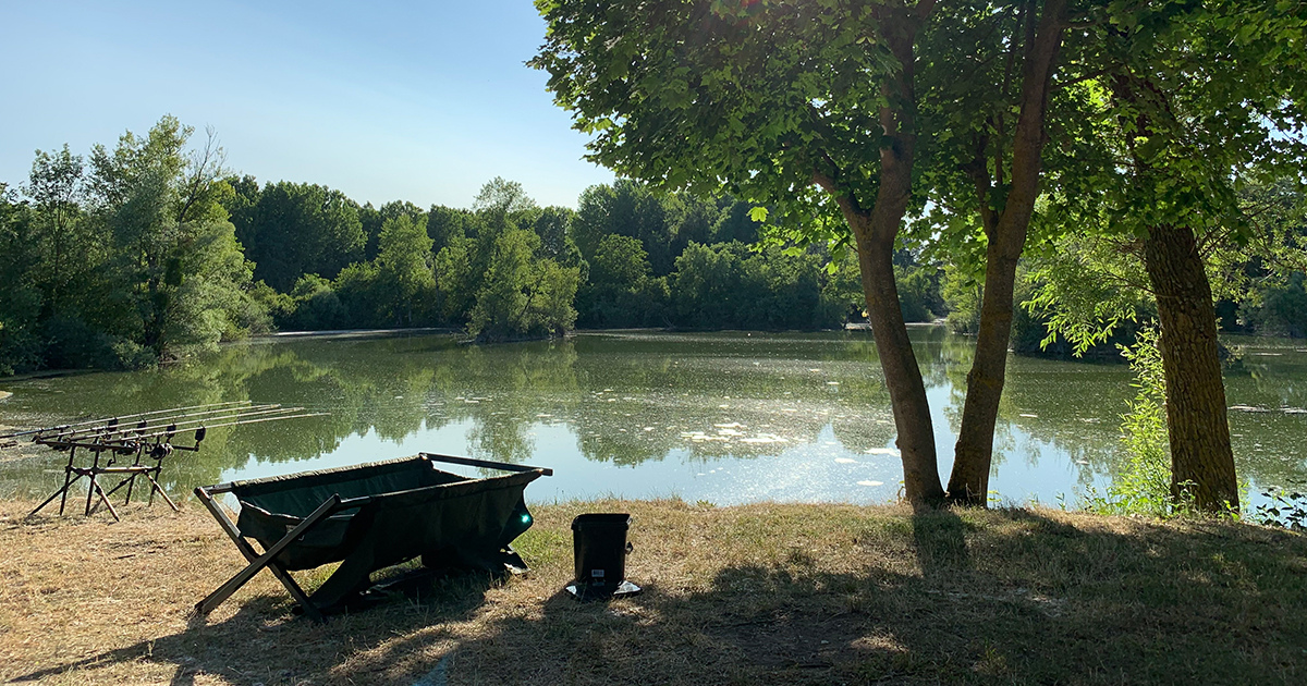 Comment étudier un étang avant de pêcher la carpe ?