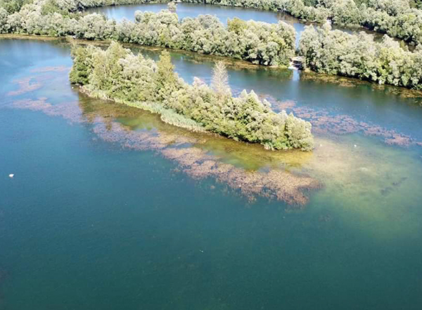 Domaine de Pimprez - Étang 1