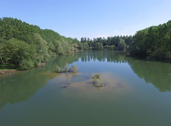 Etang des Templiers