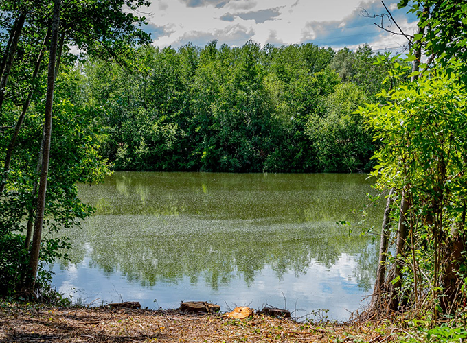 Domaine de Noute - Etang 3