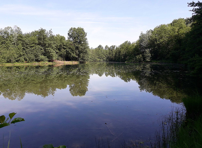 Havana - Bregnier-Cordon - Etang Sauvage