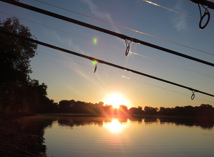 Chateliers Carp - Etang des Châteliers