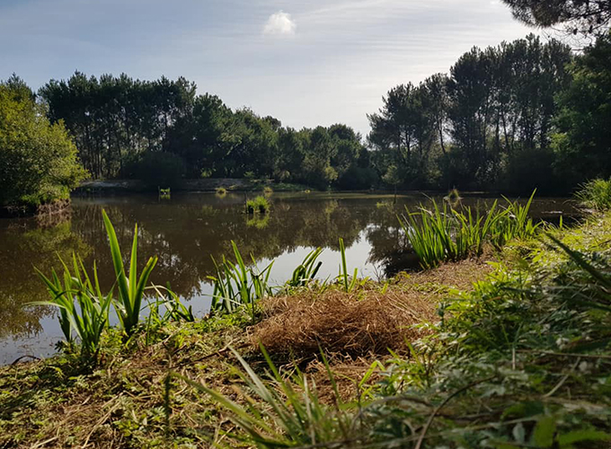 Etang de la Barreyre