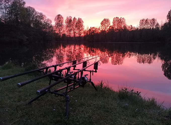 La carpe aux trésors