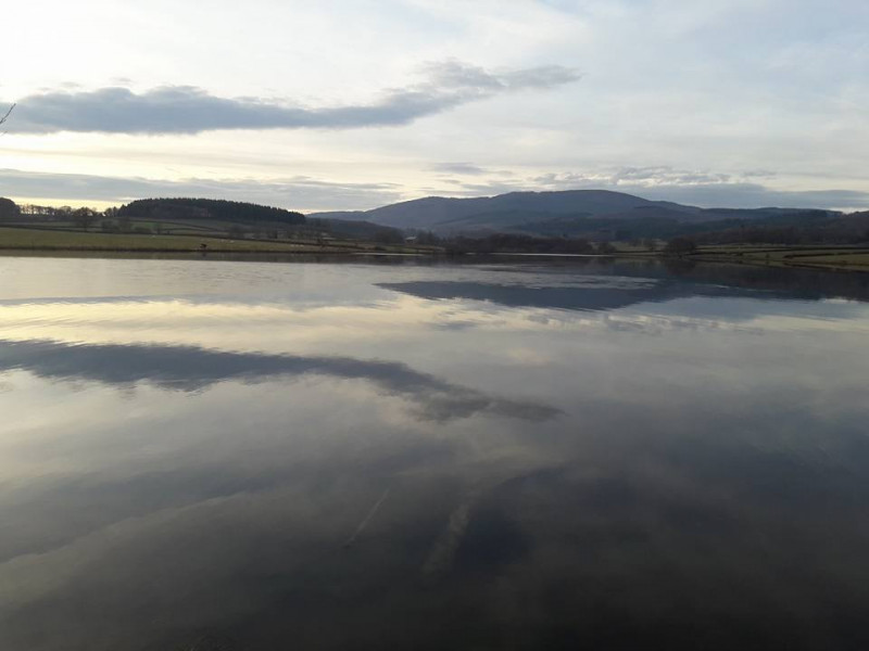 L’étang des Gaulois
