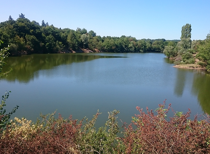 Etang de La Grenouillère