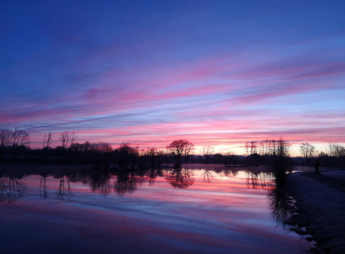 Etang de la Basse Morlière