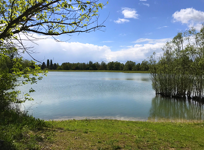 L'étang aux 3 étoiles