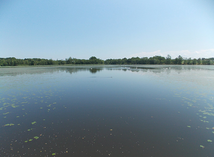 Les étangs du Vernois