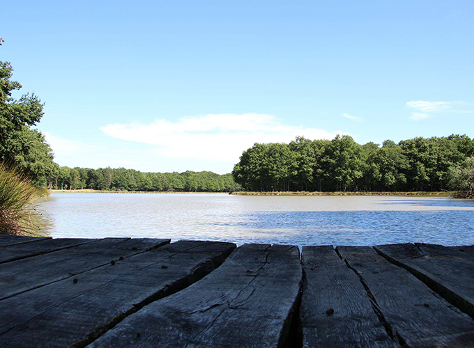 Nauticarp - Etang du Furet