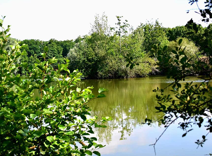 L'étang des cerises