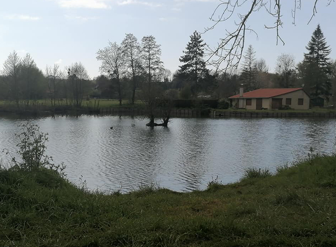 Etang du Marais
