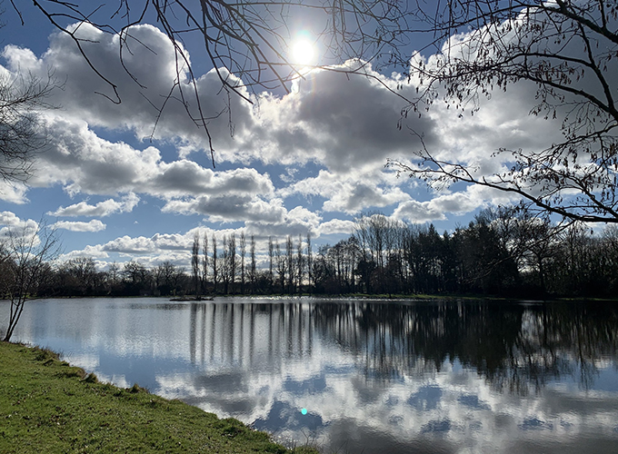 FMS Carpe - Etang de la Pinière