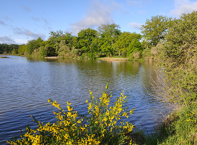Domaine de Feuilly - Grand Etang