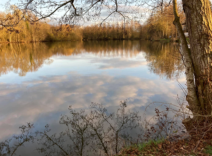 Les étangs du Breuil