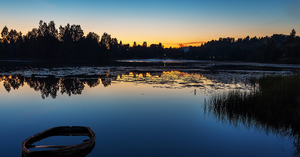 Pourquoi pêcher la carpe de nuit ?