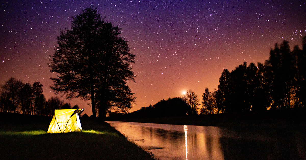 Comment pêcher la carpe de nuit ?