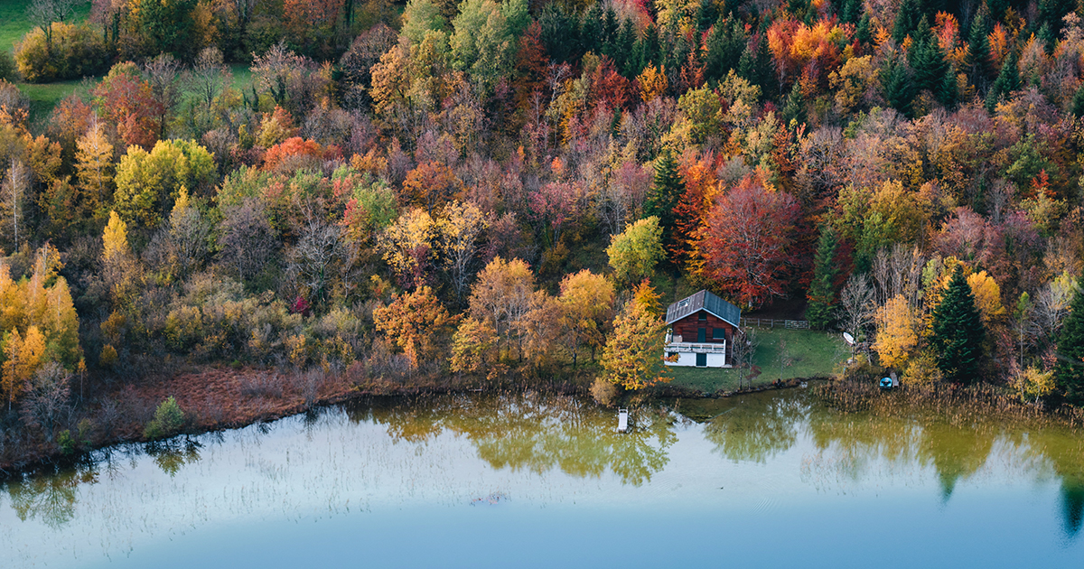 Comment pêcher la carpe en automne ? La meilleure saison !