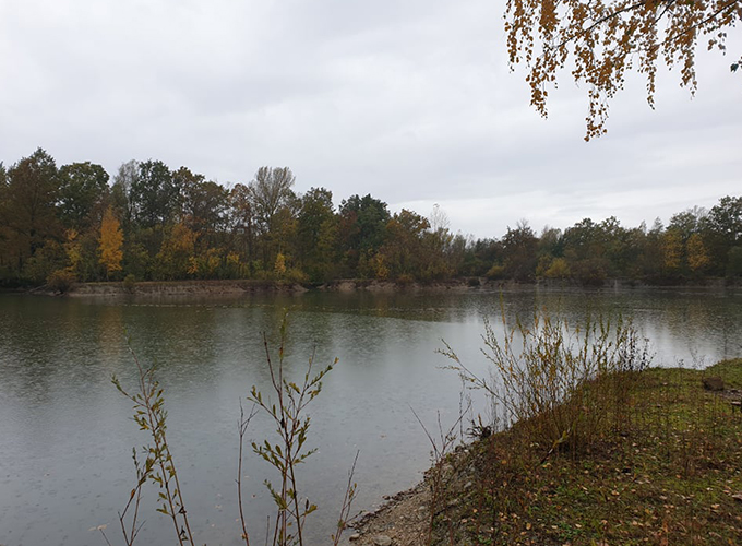 L'Île aux esturgeons