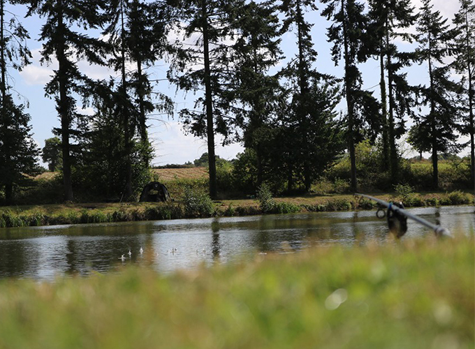 Etang de la Ménardière