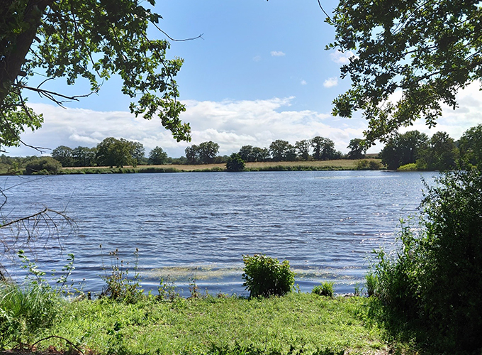 Les étangs de Saint-Jeanvrin