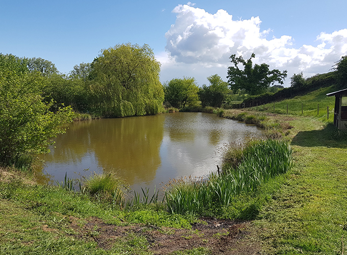 Les étangs de Robinson