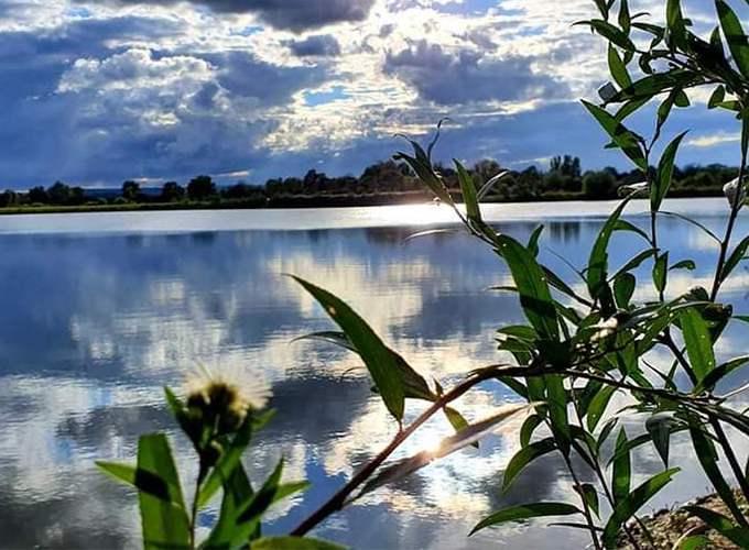 Carp Fishing Lake Moulino - Etang La Bordure