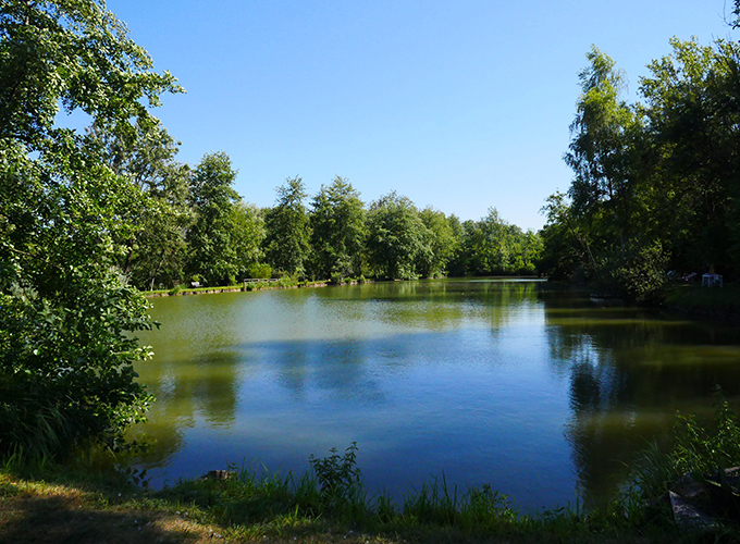 Etang du Sorbier