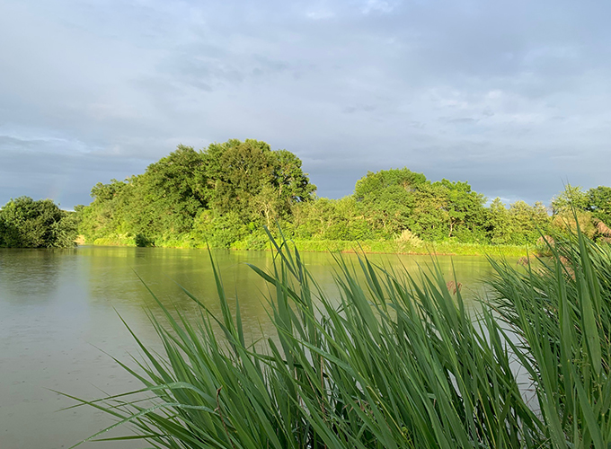 Domaine de Cante Perdic