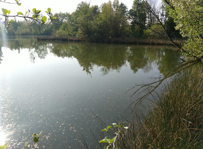 Thesourcenormandy - Etang 1