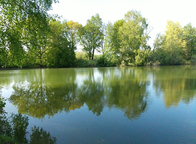 Thesourcenormandy - Etang 2