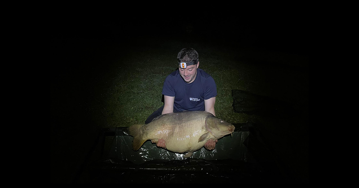 Pêcher la carpe de nuit : plonger dans une autre dimension...