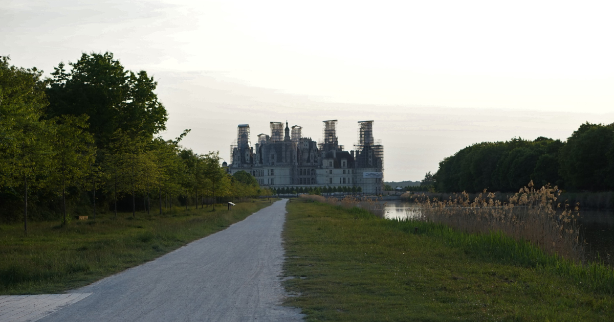 Pêcher la carpe au Château de Chambord, c'est possible !