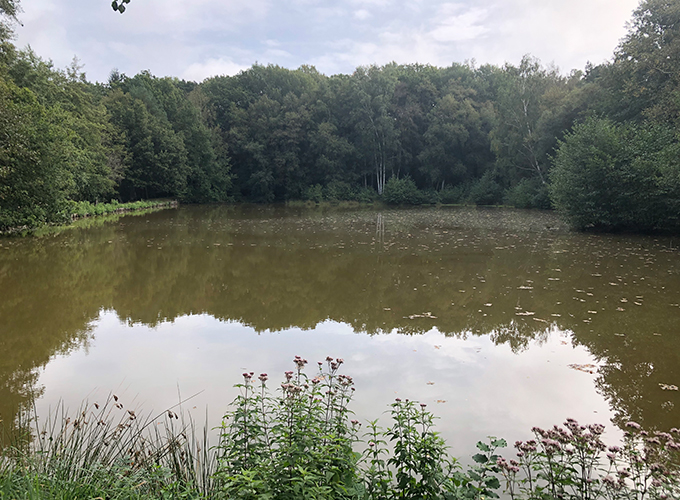 Etang Les Touffes