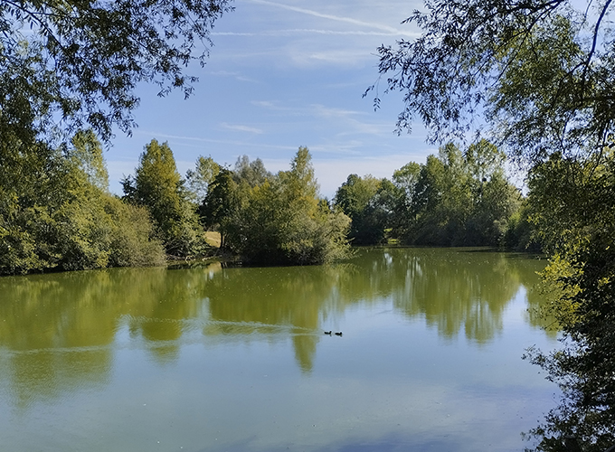 Etang du Guesclin