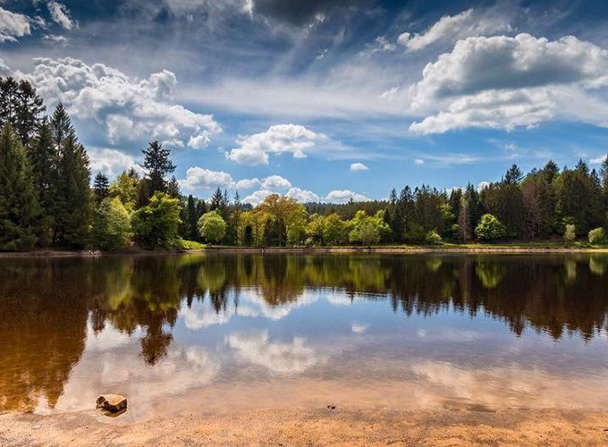 Domaine de Montalétang