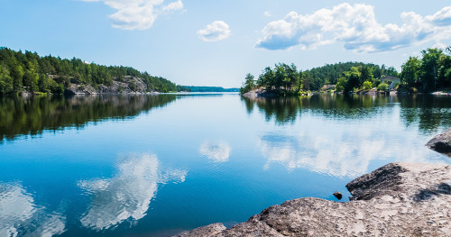 Pêcher la carpe : habitats et spécificités