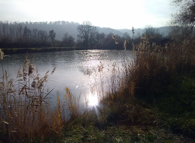 Etang des Bysh - Carpodrome