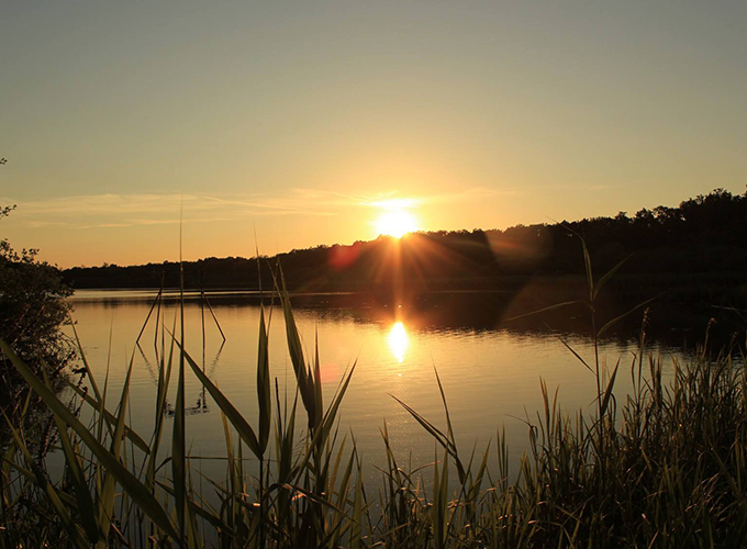 Etang des salles